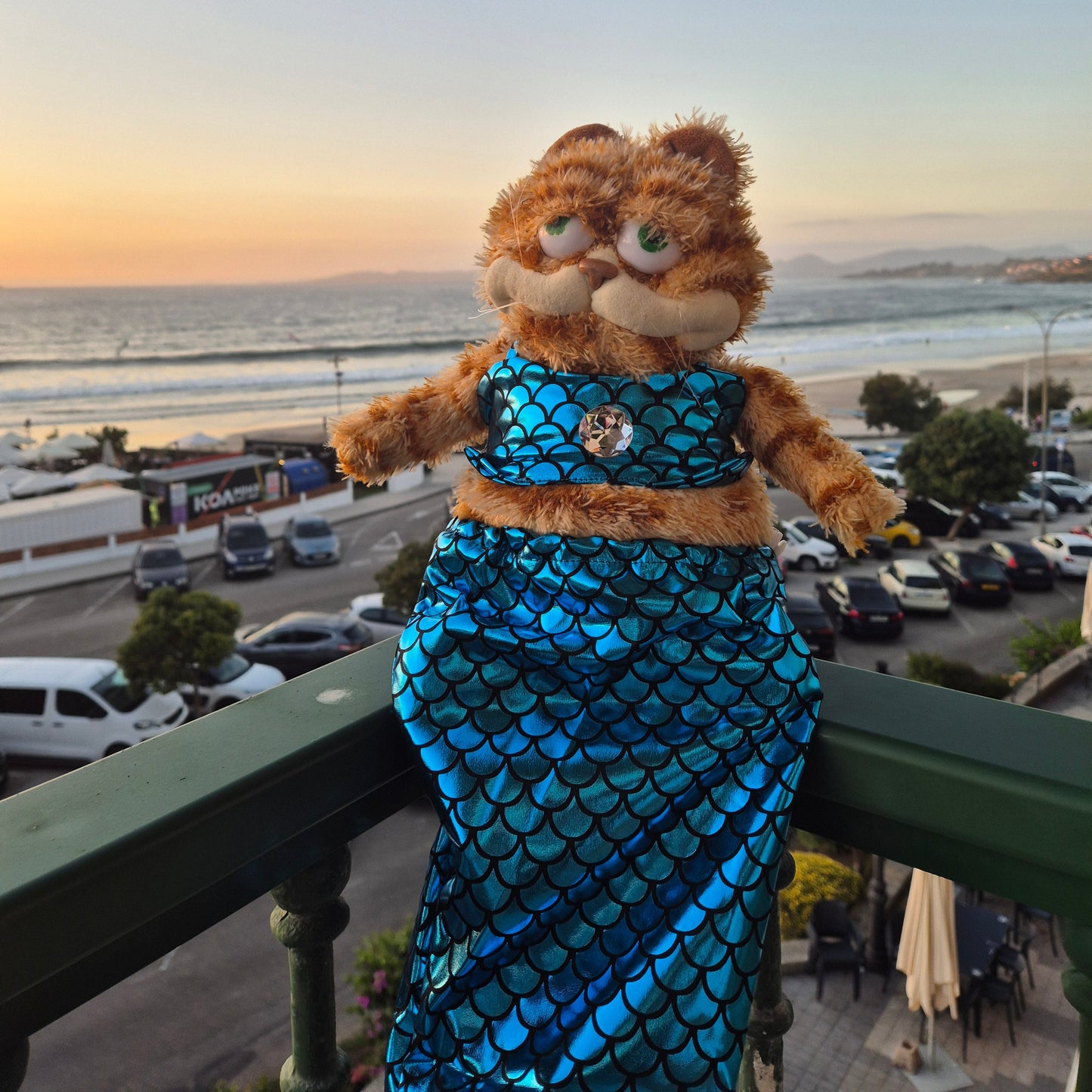 Peluche Del Gato García