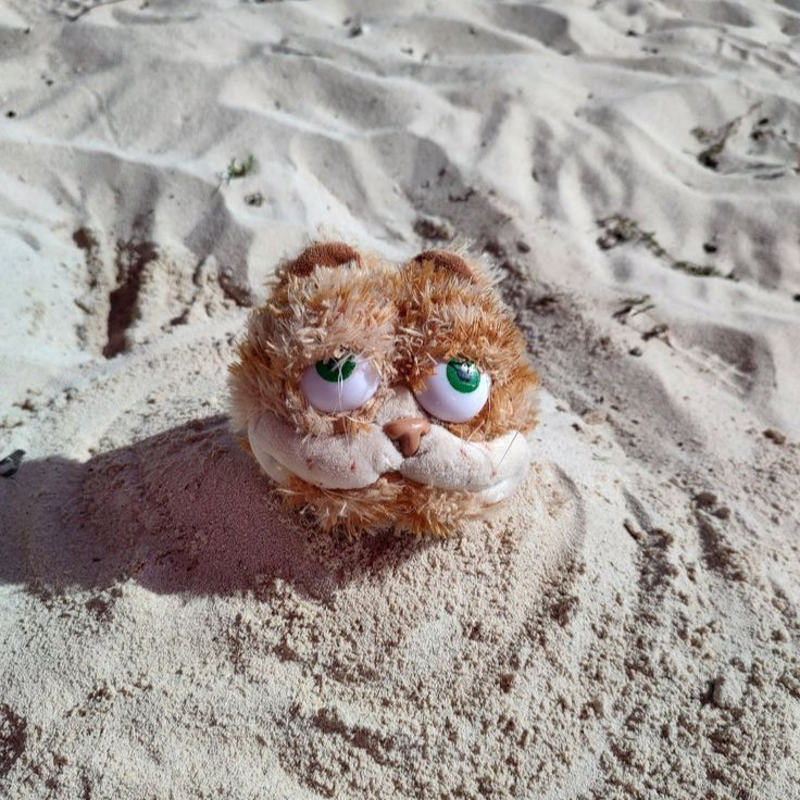 Peluche Del Gato García