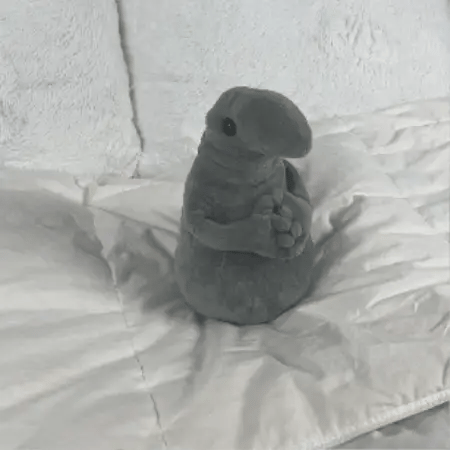 Peluche Bob El Pegote
